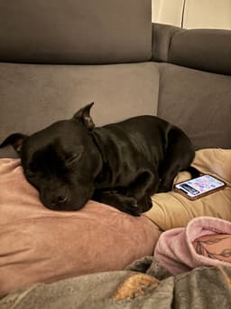 Storminka Infinite Stormová Votrubová